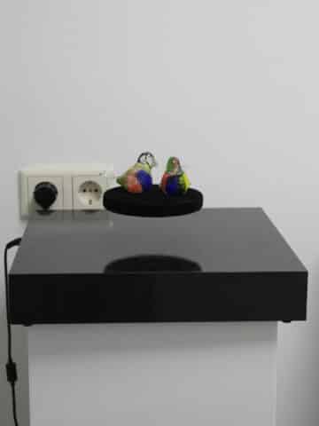 Elektromagnetismus