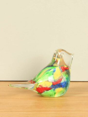 Glasvogel mehrfarbig