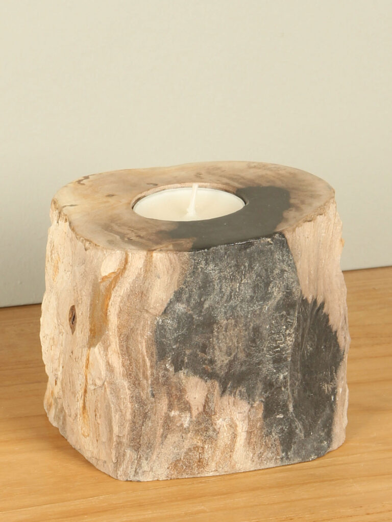 Windlicht Fossiles Holz nr. 1