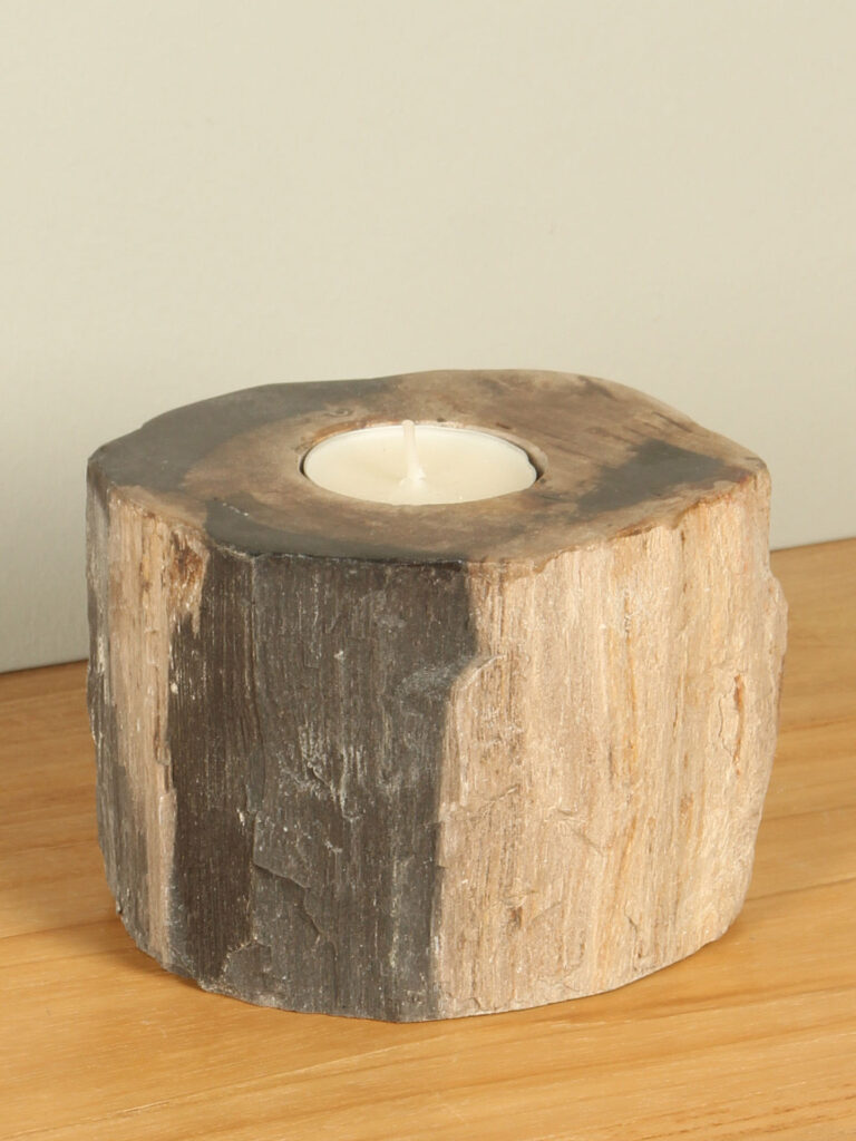 Windlicht Fossiles Holz nr. 11