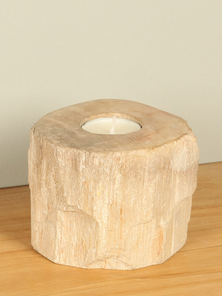 Windlicht Fossiles Holz nr. 12