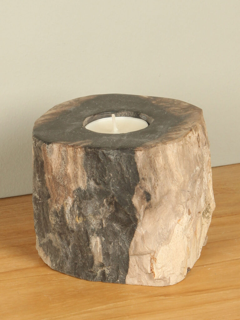 Windlicht Fossiles Holz nr. 13