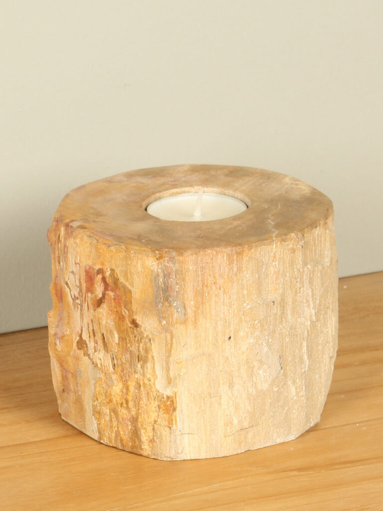 Windlicht Fossiles Holz nr. 14