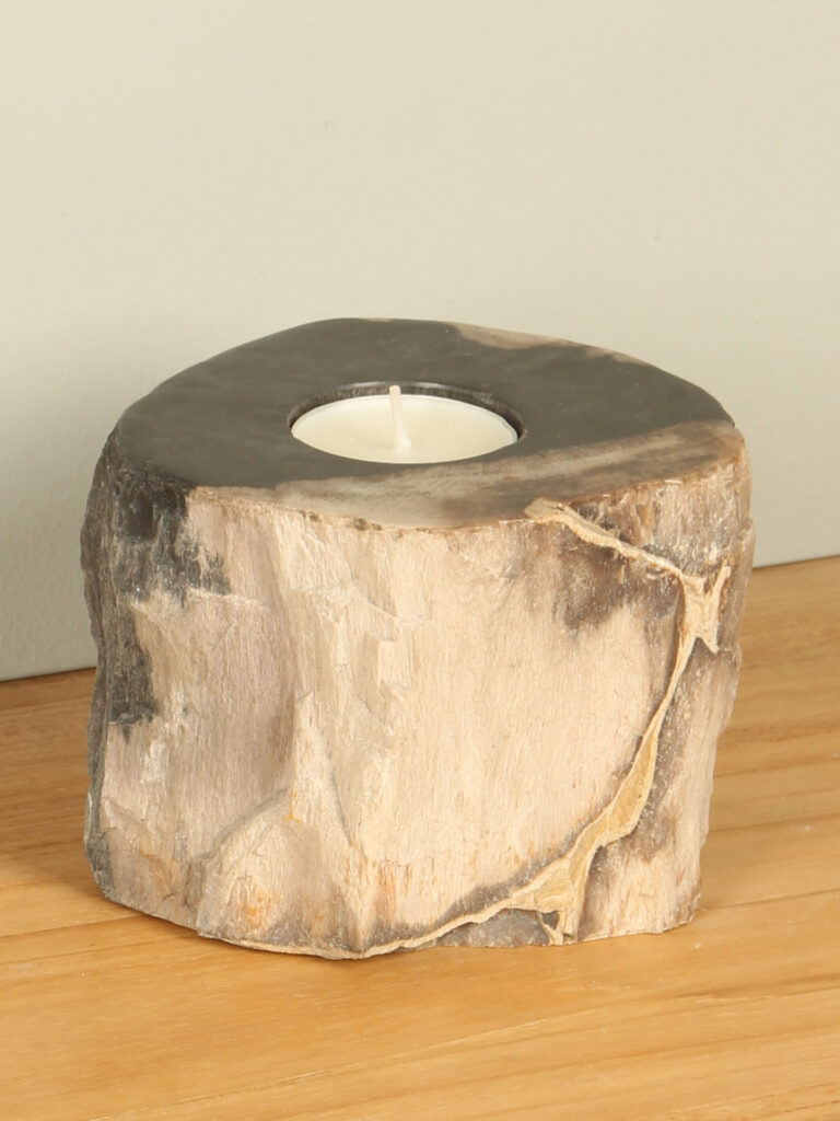 Windlicht Fossiles Holz nr. 15