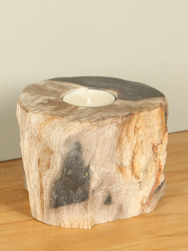 Windlicht Fossiles Holz nr. 17