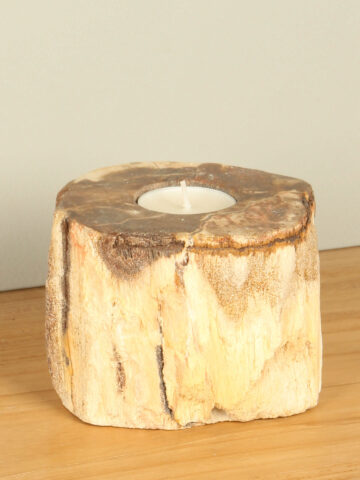 Windlicht Fossiles Holz nr. 2
