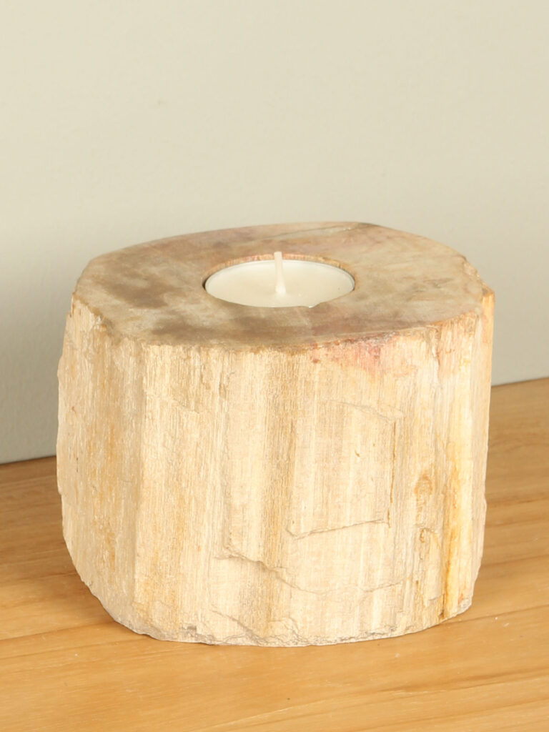 Windlicht Fossiles Holz nr. 20