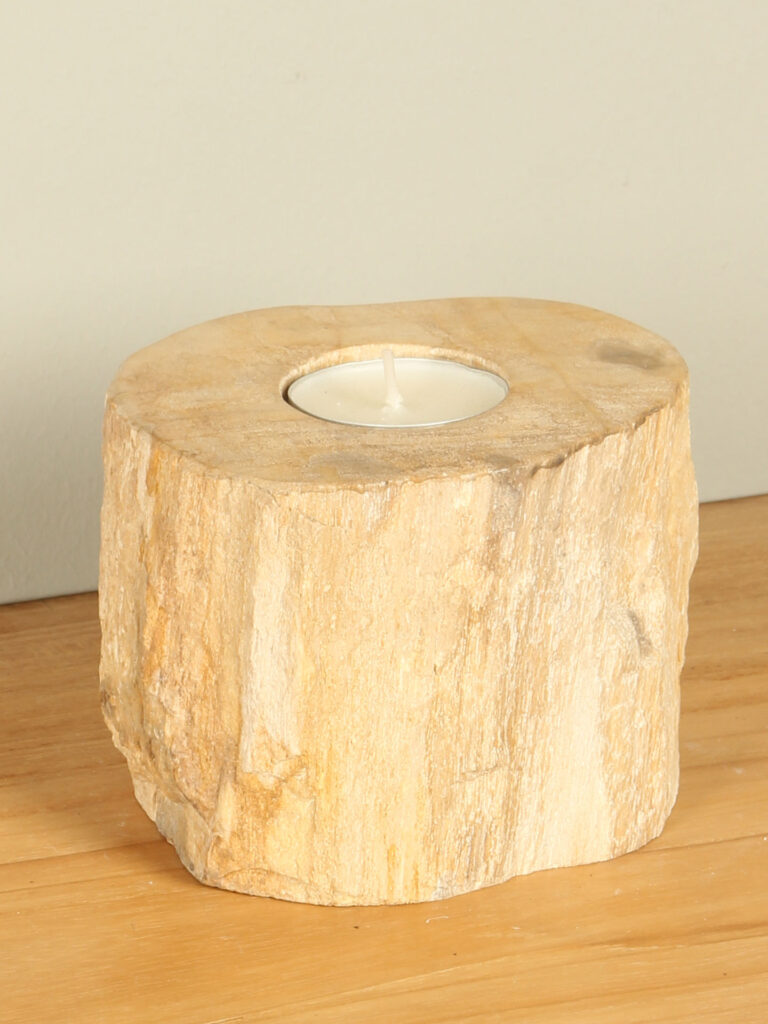 Windlicht Fossiles Holz nr. 24