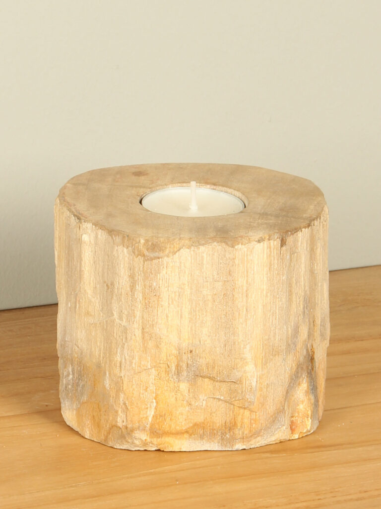 Windlicht Fossiles Holz nr. 4