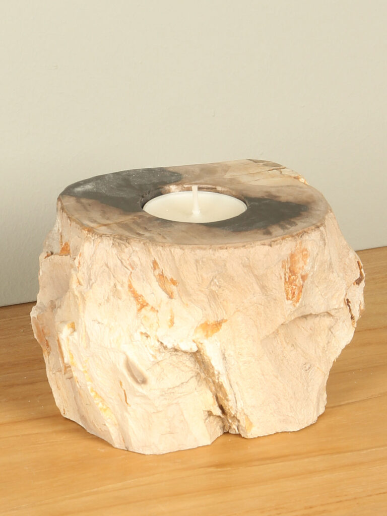 Windlicht Fossiles Holz nr. 6