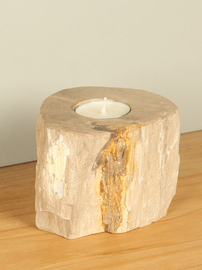 Windlicht Fossiles Holz nr. 8