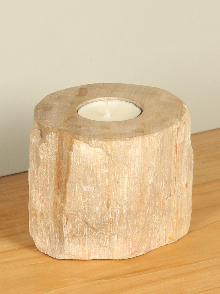 Windlicht Fossiles Holz nr. 9