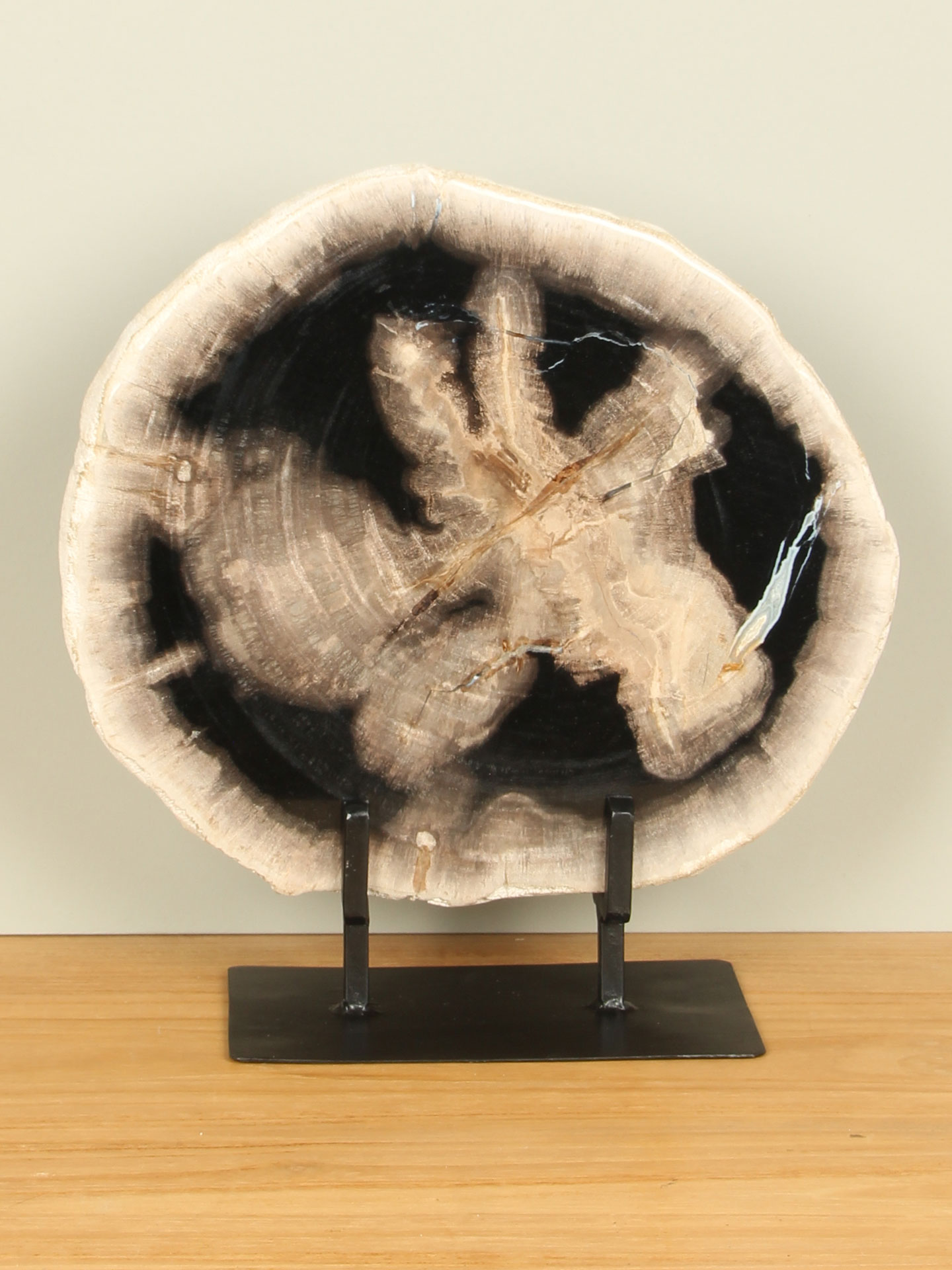 Scheibe aus Fossiles Holz auf Ständer Nr. 12