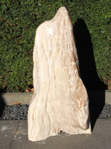 versteinertes Holz 250303, 72 cm