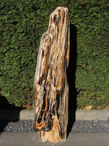 versteinertes Holz 250313, 90 cm