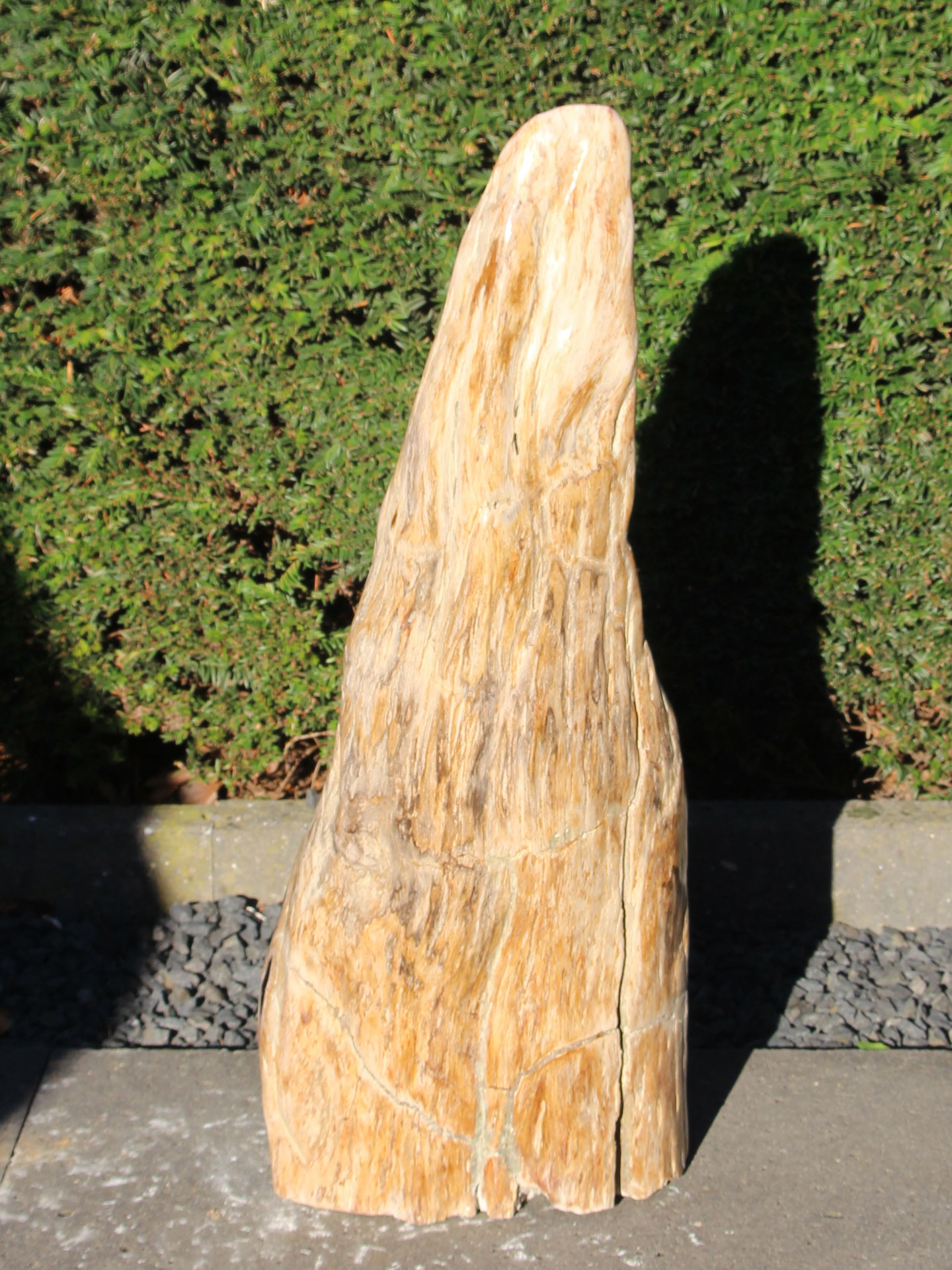 Fossiles Holz 250315, 70 cm