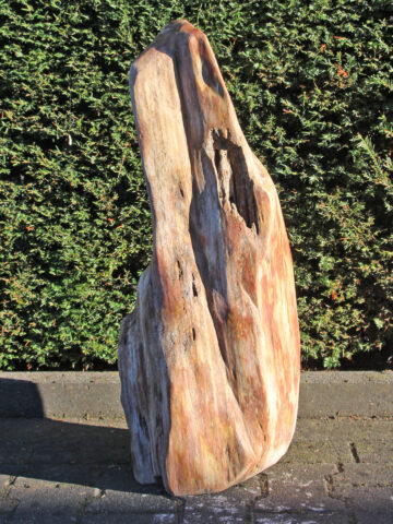 Fossiles Holz 250326, 78 cm