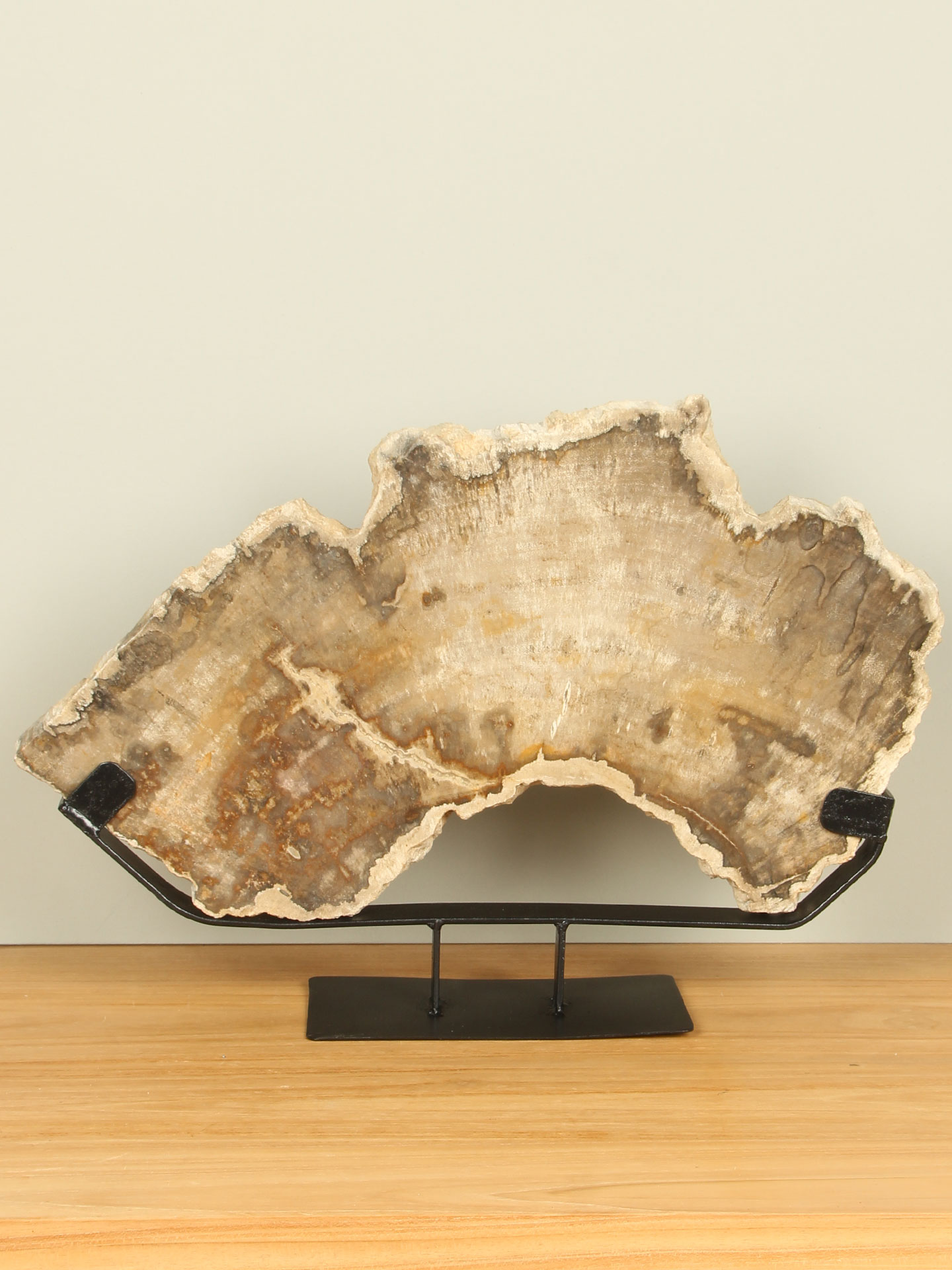 Scheibe aus Fossiles Holz auf Ständer Nr. 04
