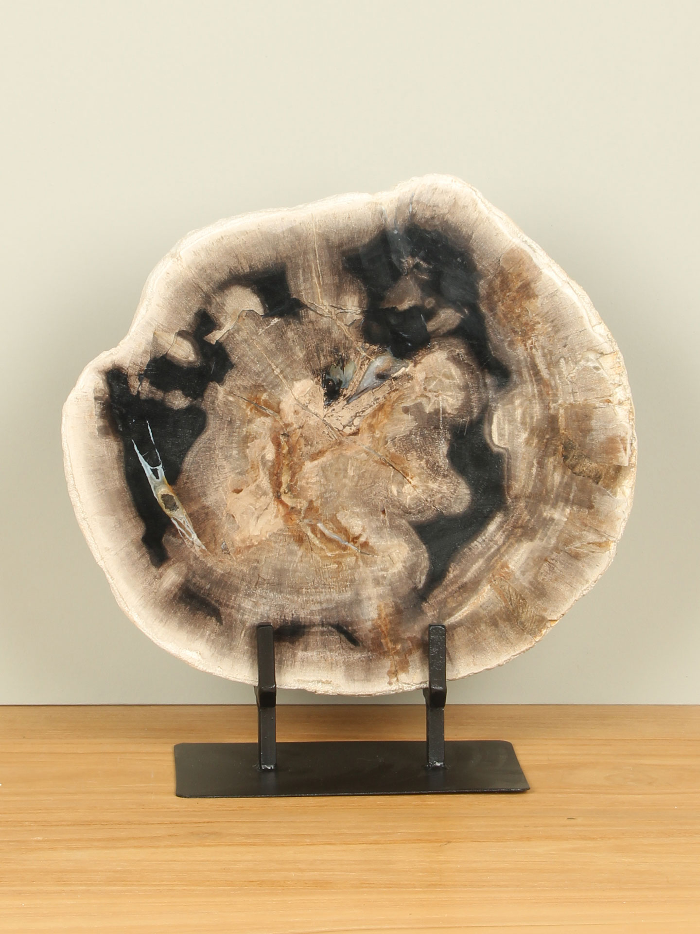 Scheibe aus Fossiles Holz auf Ständer Nr. 24