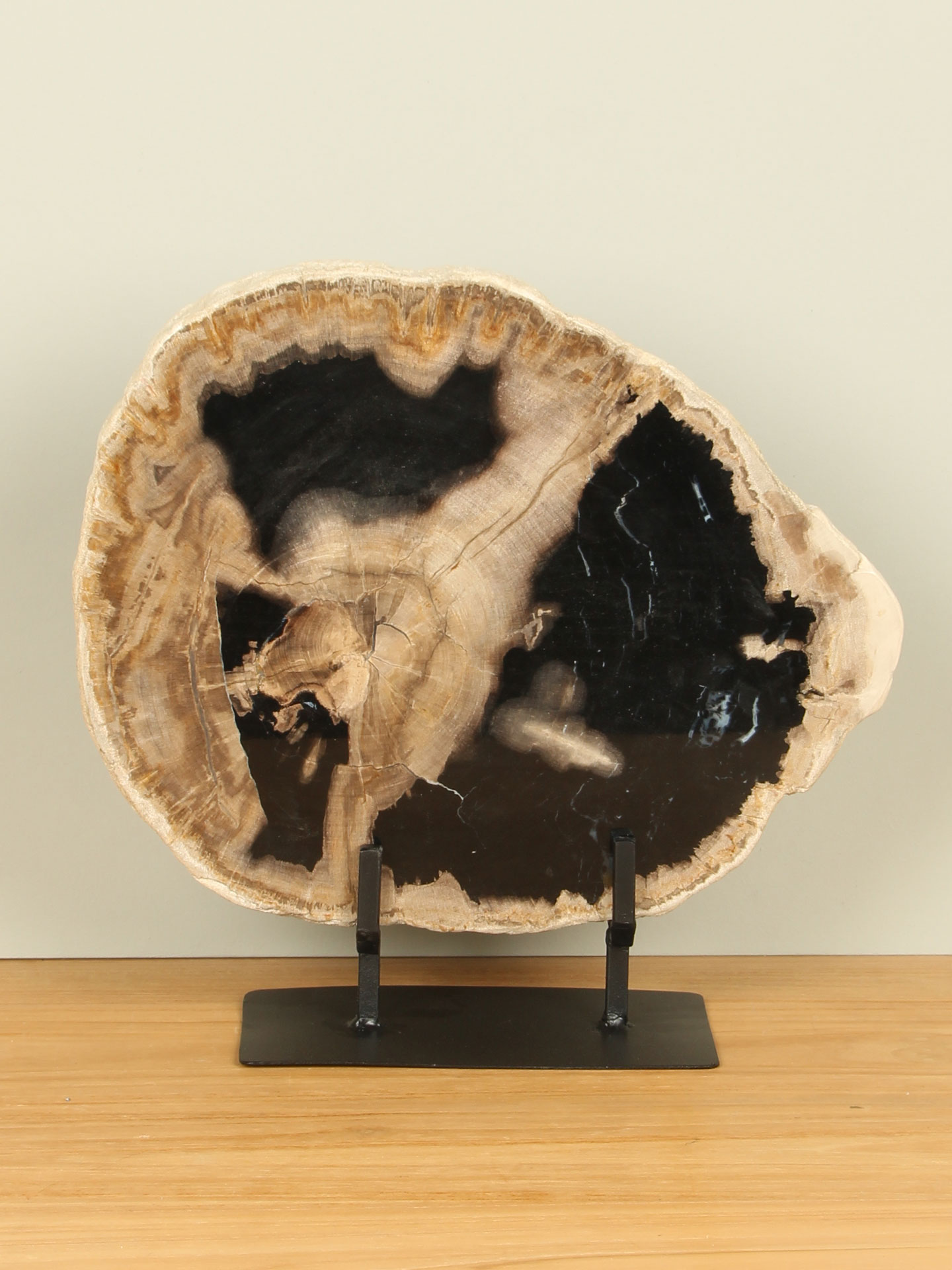 Scheibe aus versteinertem Holz auf Ständer Nr. 30